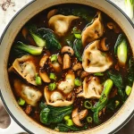 Potsticker Soup Recipe