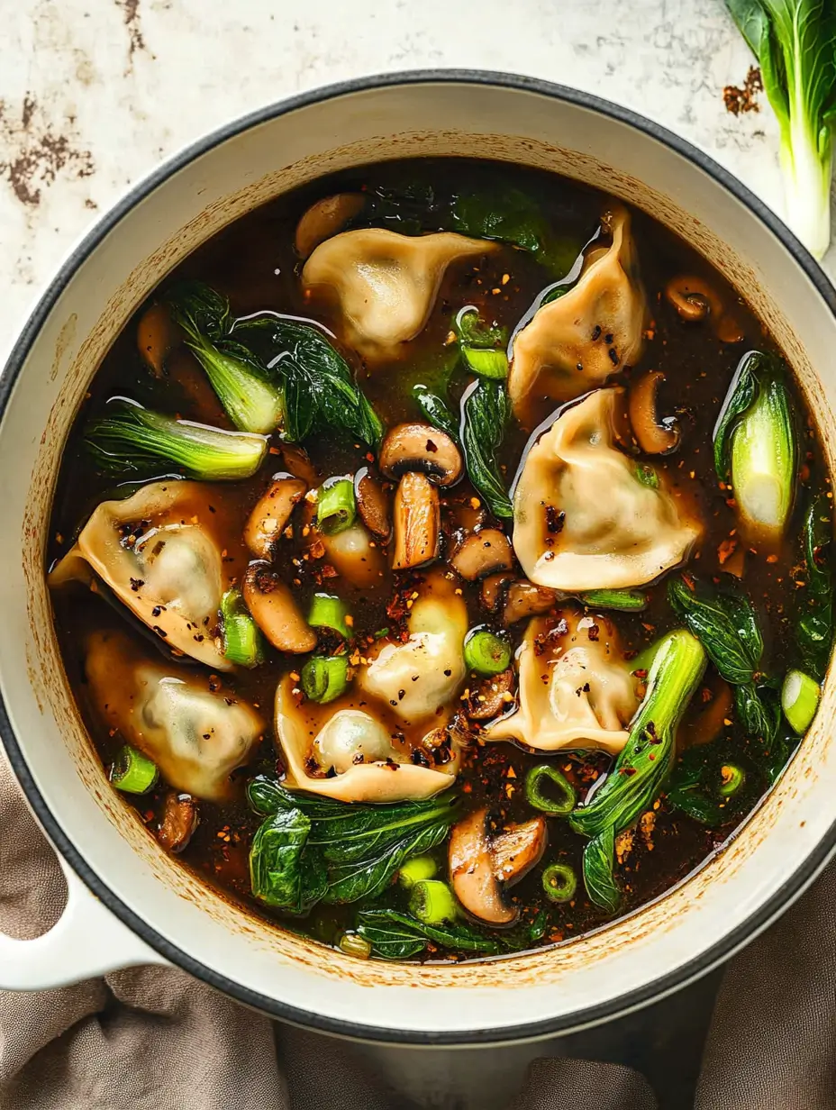 Potsticker Soup Recipe